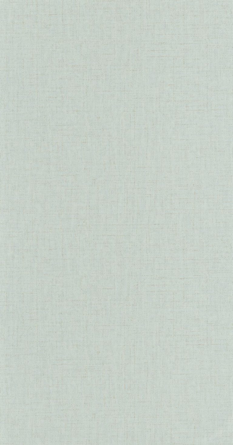 Обои — Casadeco — TEXTILES — RIVERSIDE 3 UNI FLANELLE — Gris bleute (арт. 85326230)