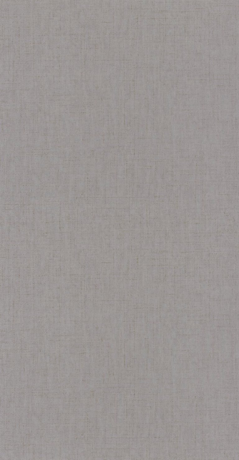 Обои — Casadeco — TEXTILES — RIVERSIDE 3 UNI FLANELLE — Gris anthracite (арт. 85329531)