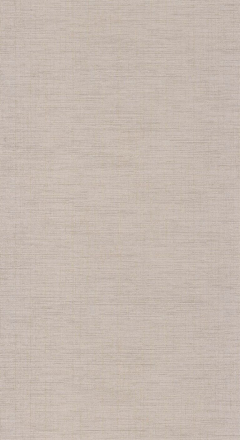 Обои — Casadeco — TISSAGE — Five o’clock plain — Taupe (арт. 85841261)