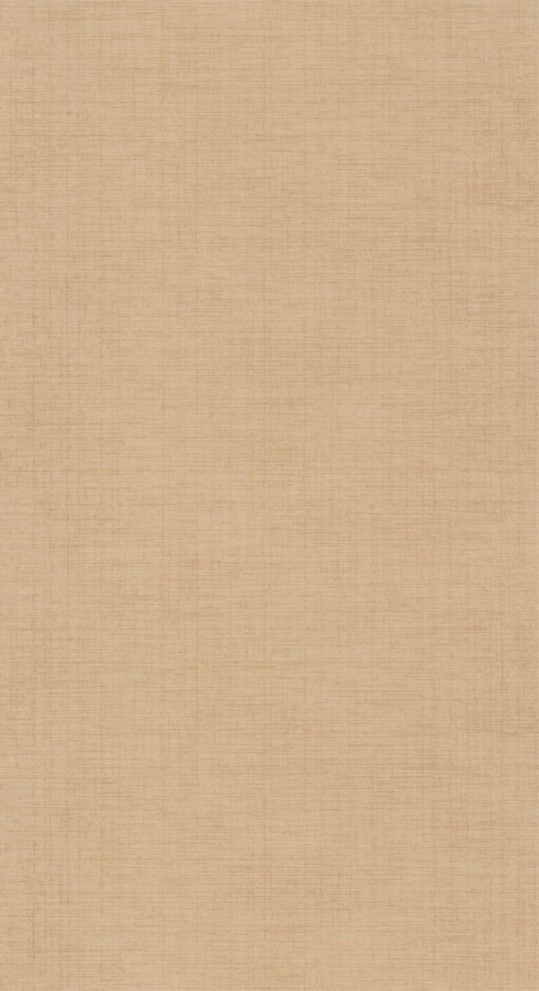 Обои — Casadeco — TISSAGE — Five o’clock plain — Beige raphia (арт. 85841414)