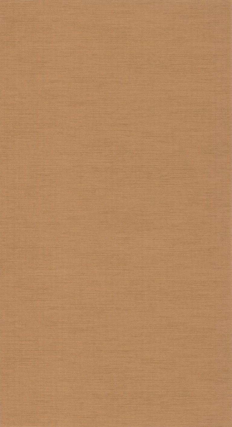 Обои — Casadeco — TISSAGE — Five o’clock plain — Caramel (арт. 85842323)