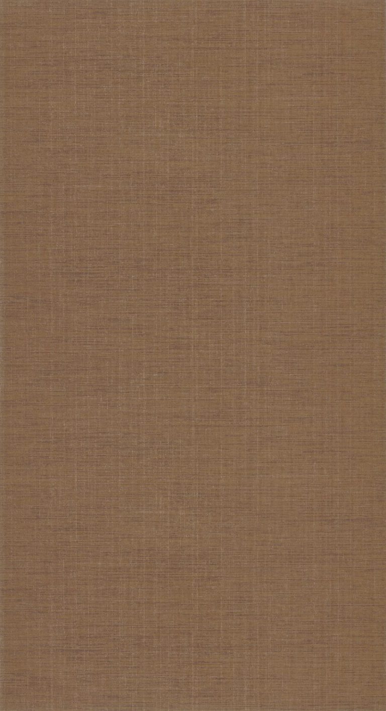 Обои — Casadeco — TISSAGE — Five o’clock plain — Muscade (арт. 85842404)