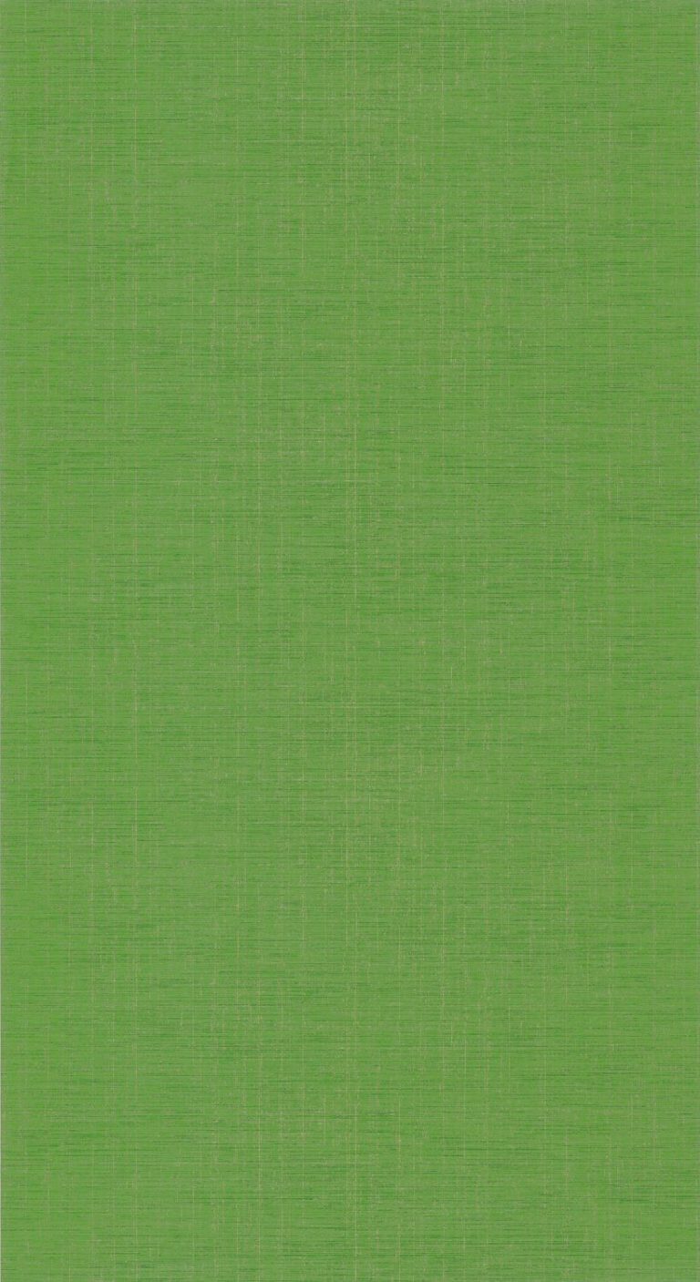 Обои — Casadeco — TISSAGE — Five o’clock plain — Vert tropical (арт. 85847394)