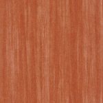 Обои — Casadeco — NICARAGUA — Woods eucalyptus — Citrouille (арт. 85983431)