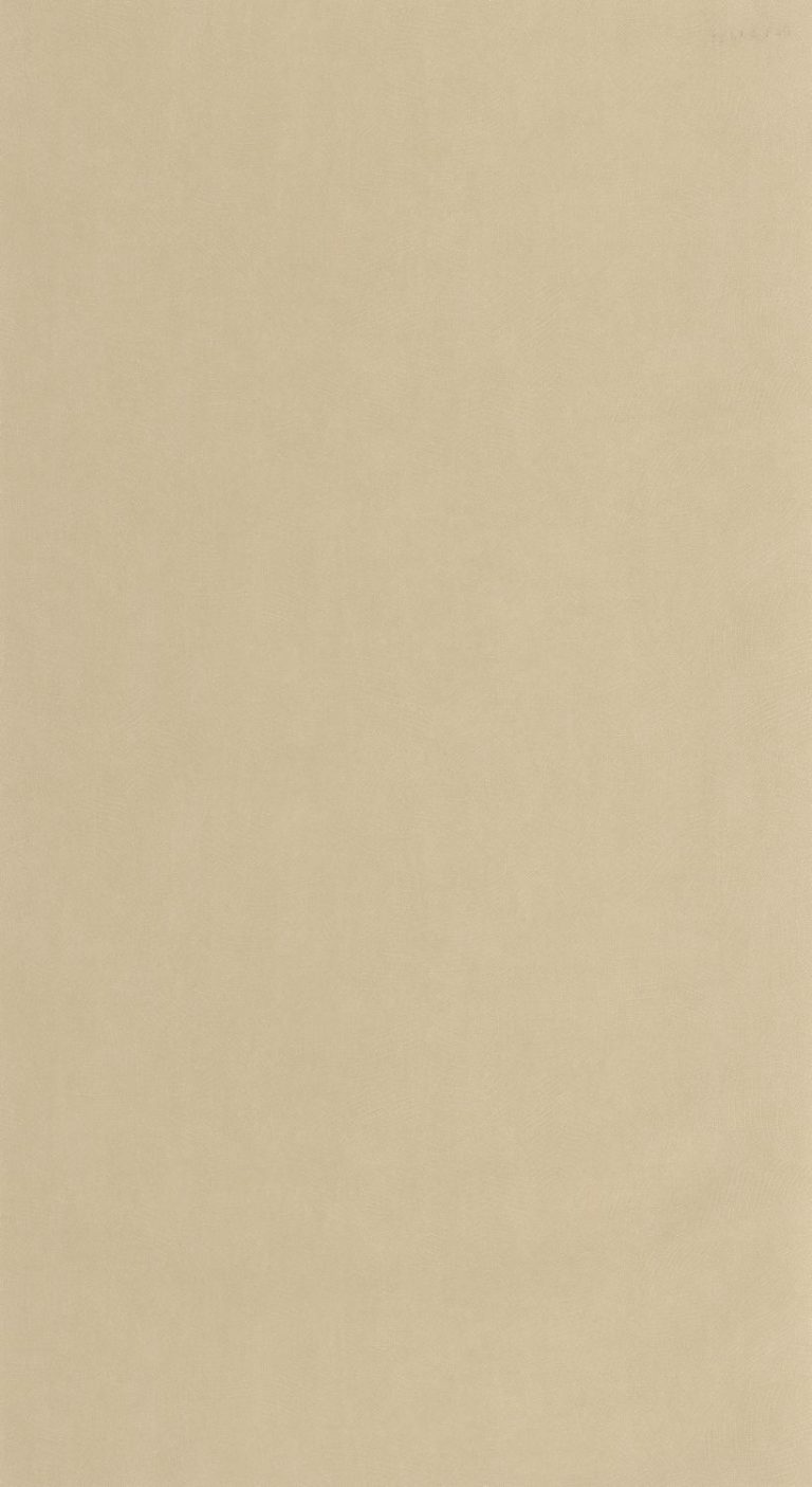 Обои — Casadeco — NICARAGUA — Masaya — Beige sable (арт. 86421139)