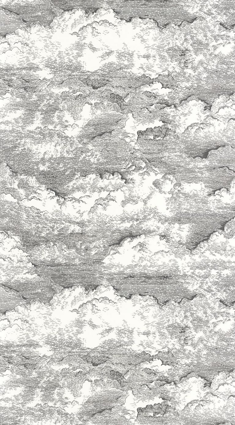 Обои — Casadeco — VOYAGE ONIRIQUE — Songe — Noir gravure (арт. 87279907)