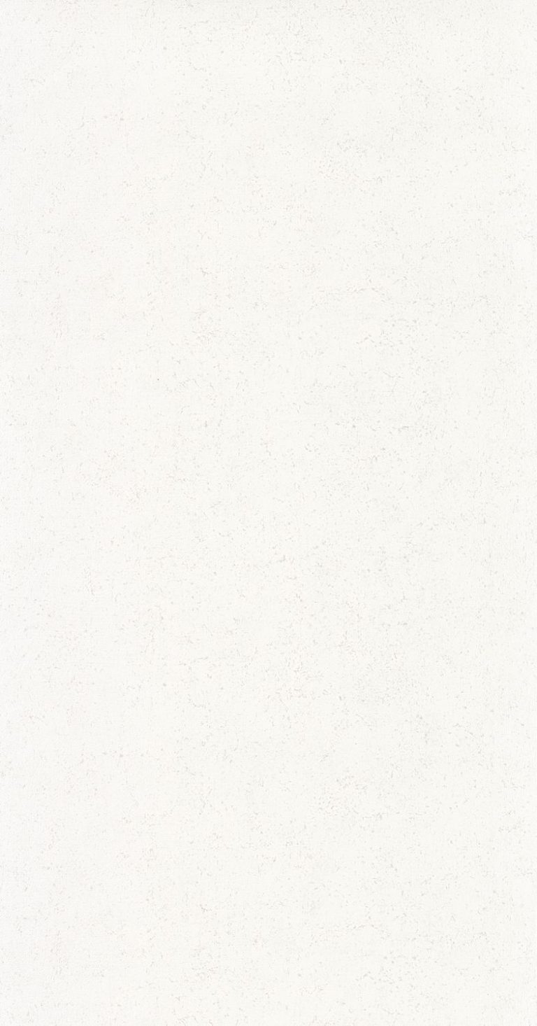 Обои — Casadeco — MINERALS — Mur a La Chaux — Blanc albatre (арт. 88090101)