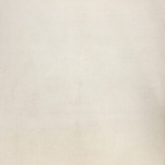Индийский ковёр из кашемира - BLANC DE BLANCS - 280 x 371 (BNC_R_PLAIN-IVORY)