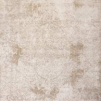 Индийский ковёр из шерсти - KING OF AGRA - 250 x 300 (RAJ14_R_DN-2)