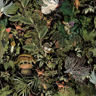 Обои Arte - MENAGERIE EXTINCT ANIMALS - Raven MO2071 (коллекция Moooi Wallcovering Extinct Animals)
