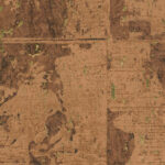 Обои Arte - eCLAT - Rust 48043 (коллекция Les Forets)