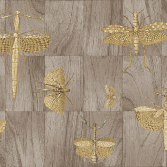 Обои Arte - WINGS - 42002 (коллекция Ligna)