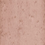 Обои Arte - STELLAR - 37503A (коллекция Lush)