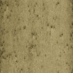 Обои Arte - STELLAR - 37510A (коллекция Lush)