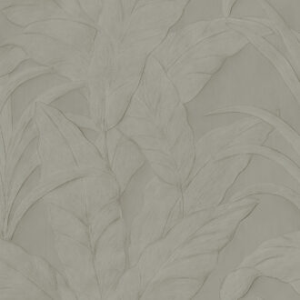Обои Arte - MUSA - Silver 75000B (коллекция Monsoon 2.0)