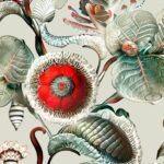 Обои Arte - COCCINELLA BELLA - Stone Grey MO5000 (коллекция Moooi Wallcovering Green House)