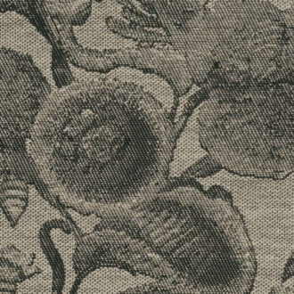 Обои Arte - COCCINELLA BELLA JACQUARD - Black & Ivory MO5002 (коллекция Moooi Wallcovering Green House)