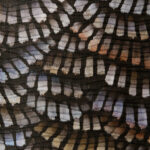 Обои Arte - DANDELION CRANES - Prisma MO4021 (коллекция Moooi Wallcovering Memento Moooi)