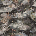 Обои Arte - MEMENTO MOOOI MEDLEY - Dusk MO4032 (коллекция Moooi Wallcovering Memento Moooi)