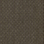 Обои Arte - FEROX - Espresso 28061 (коллекция Wildwalk)