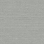 Обои Omexco - birds of paradise  - bop311