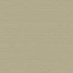 Обои Omexco - birds of paradise  - bop318