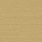 Обои Omexco - birds of paradise  - bop320