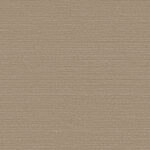 Обои Omexco - birds of paradise  - bop328