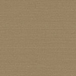 Обои Omexco - birds of paradise  - bop329