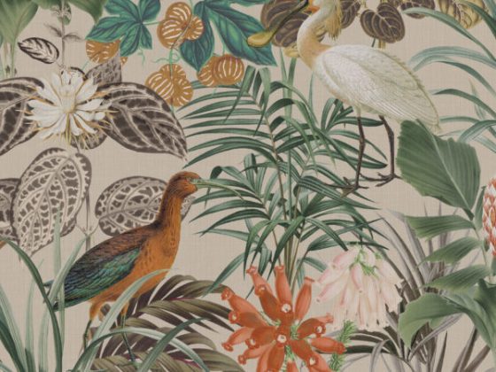Обои Omexco - birds of paradise  - bop502
