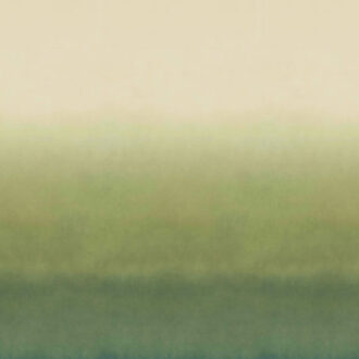 Обои Omexco - joy - joy81