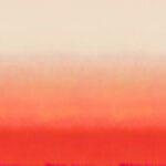 Обои Omexco - joy  - joy85