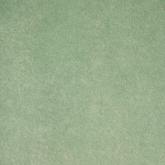 Ткань Lelievre - NABAB - LICHEN - 0324-63