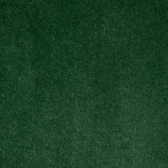 Ткань Lelievre - NABAB - BUIS - 0324-64