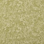 Ткань Jean Paul Gaultier - AFRIKA - TILLEUL - 3410-03