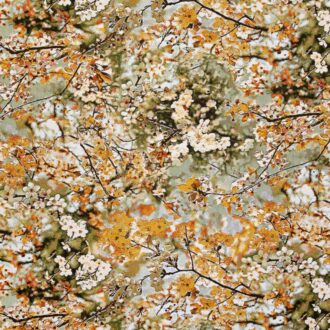 Ткань Jean Paul Gaultier - SAKURA - DORE - 3468-02