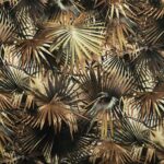 Ткань Jean Paul Gaultier - LES MARQUISES - MORDORE - 3490-01