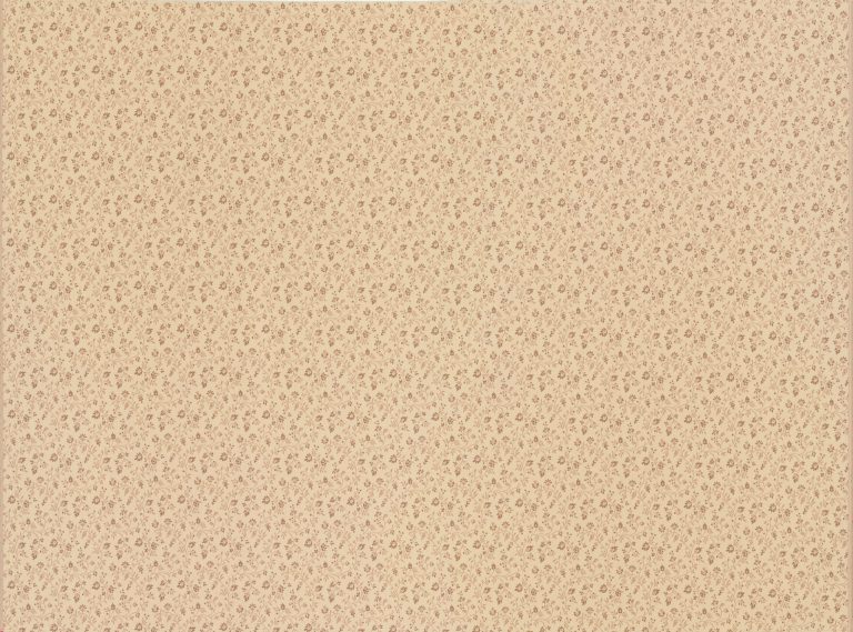 Ткань Quenin - BRINDILLE - NATUREL - 4280-01