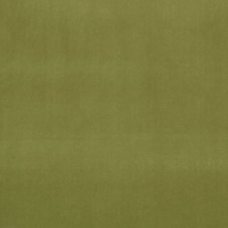 Ткань - Clarke and Clarke - ALVAR - LEAF - F0753/77