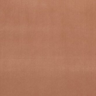 Ткань - Clarke and Clarke - ALVAR - SIENNA - F0753/95