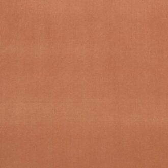 Ткань - Clarke and Clarke - ALVAR - TAMARIND - F0753/97