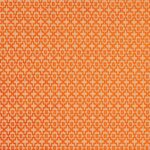 Ткань - Clarke and Clarke - MANSOUR - SPICE - F0807/07