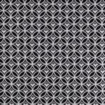 Ткань - Clarke and Clarke - BW1009 - BLACK/WHITE - F0881/01