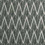 Ткань - Clarke and Clarke - BW1022 - NOIR - F0895/01