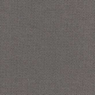 Ткань - Clarke and Clarke - BW1026 - BLACK/WHITE - F0899/01