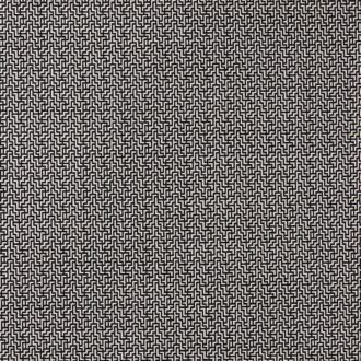 Ткань - Clarke and Clarke - BW1030 - BLACK/WHITE - F0903/01