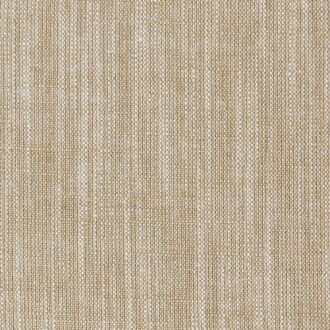 Ткань - Clarke and Clarke - BIARRITZ - BAMBOO - F0965/04