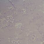 Ткань - Clarke and Clarke - SIMONE - HEATHER - F1047/03