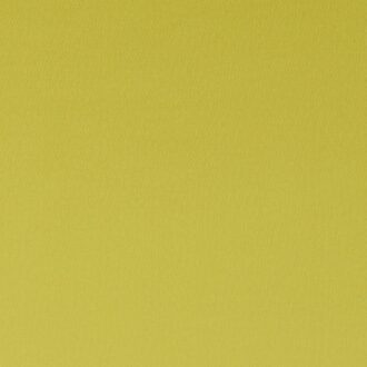 Ткань - Clarke and Clarke - SPECTRUM - CHARTREUSE - F1062/06