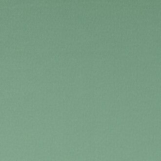 Ткань - Clarke and Clarke - SPECTRUM - THYME - F1062/42